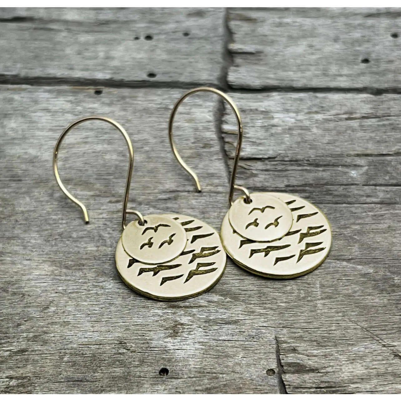 Flyover Earrings