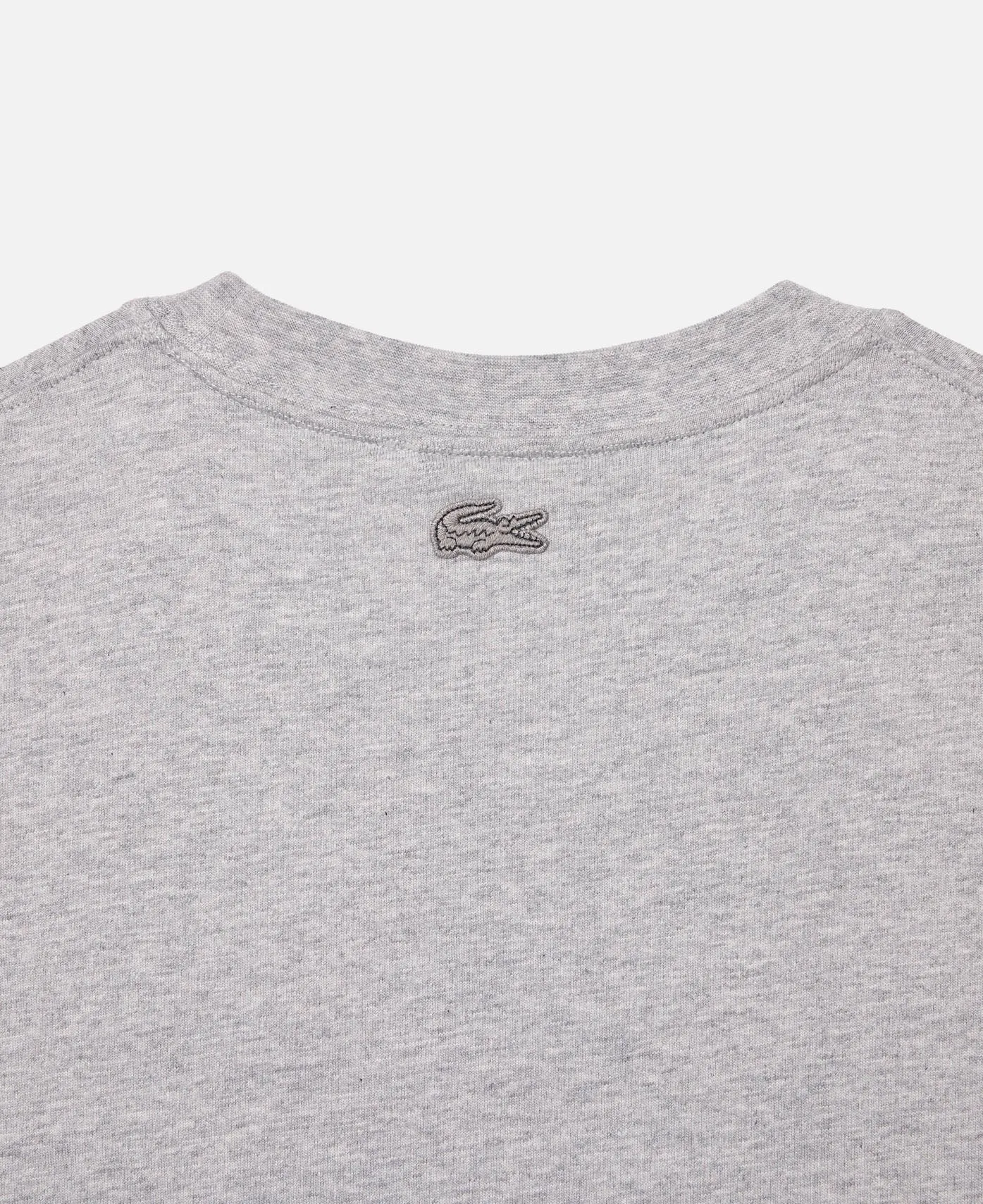 Printed Jersey T-Shirt (Grey)